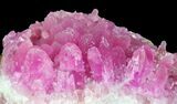 Cobaltoan Calcite Crystal Cluster - Bou Azzer, Morocco #80479-2